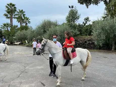 Photo de Horse Club of Olives
