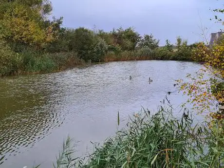 Photo de Wigg Island