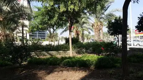 Photo de Plaza del 8 de Marzo