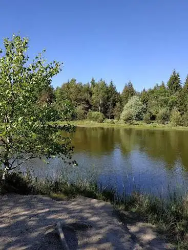 Photo de Etang de l'Auradou