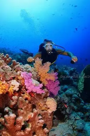 Photo de PADI diving instructor Sharm