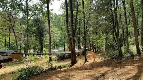 Photo de La Forêt des Écureuils