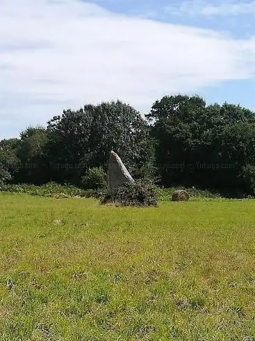 Photo de Menhir Kerluir