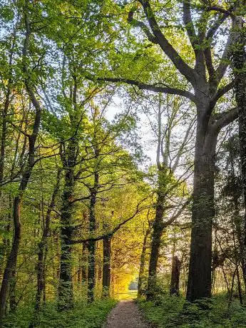 Photo de Steentjesbos wandeling