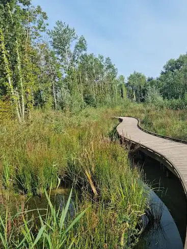 Photo de Île et Moulin de Douvres