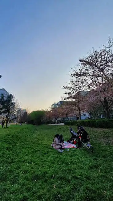 Photo de Parc de Billancourt