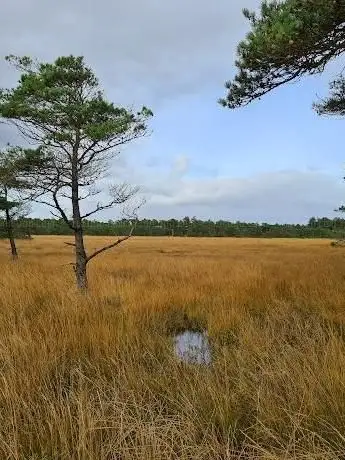 Photo de Husbjerg