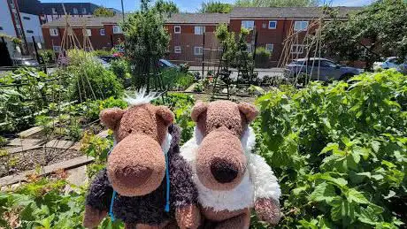Photo de Everton Community Garden