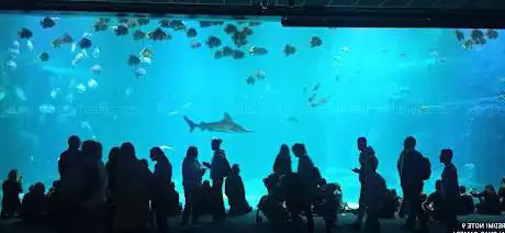 Photo de Aquiarium Boulogne sur mer