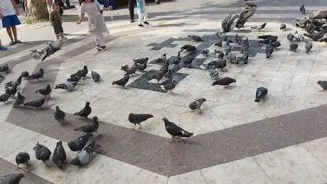 Photo de Bird Park