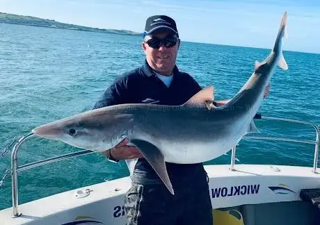 Photo de Wicklow Boat Charters
