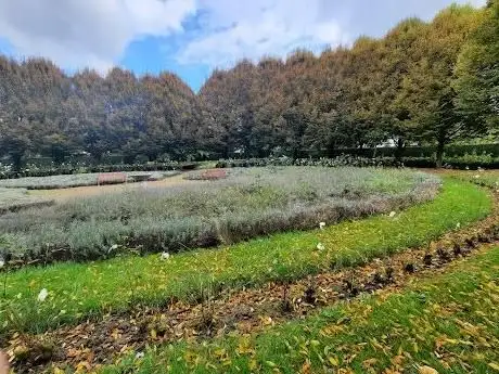 Photo de Rosengarten