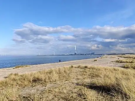 Photo de Amager Strandpark