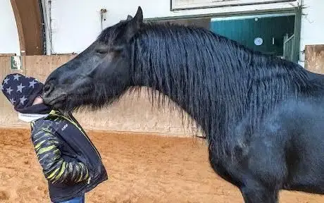 Photo de Groovy Chaos Ranch