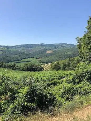 Photo de Punto Panoramico Strada che non C'è