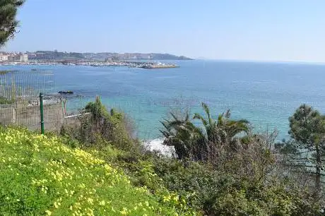 Photo de Miradoiro de Palacios