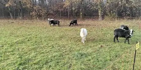 Photo de Eichenwaldgraben