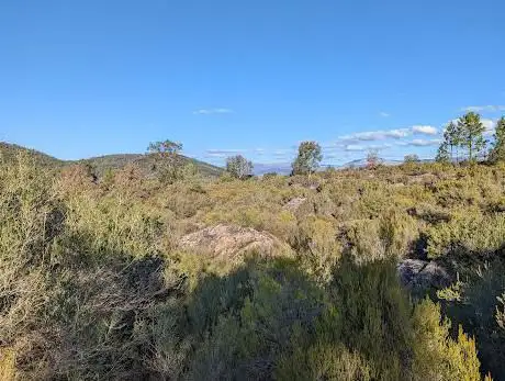 Photo de Forêt de Clapiers
