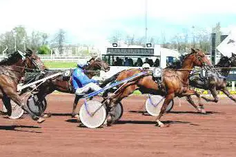 Photo de Racecourse Lyon - Silk Square