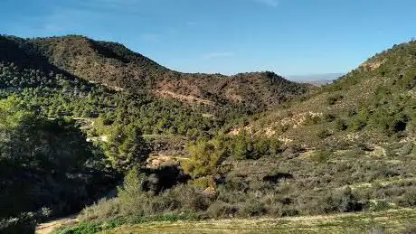 Photo de Los Ginovinos