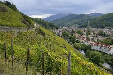 Photo de Sentier Viticole de Thann