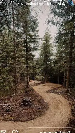 Photo de Tarland Trails - Drummy Woods
