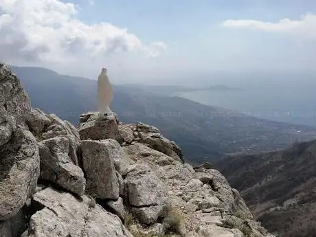 Photo de Madonnina