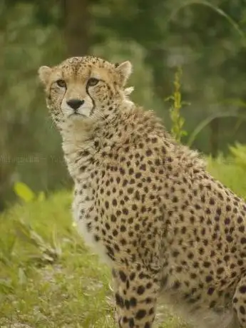 Photo of Biotropica  les jardins animaliers