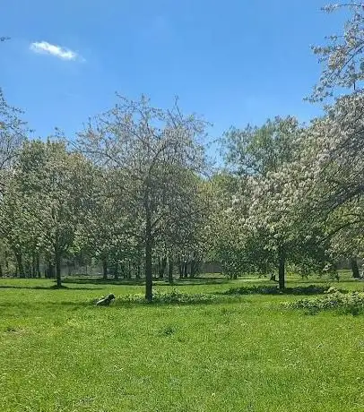 Photo de Hundefreilauffläche Markusstraße