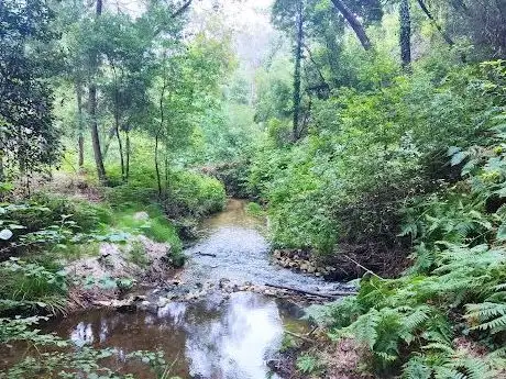 Photo de Fonte