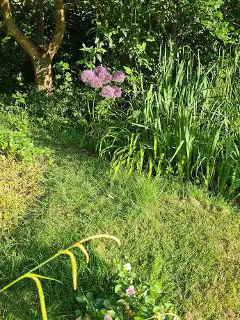 Photo de Collis Millennium Green