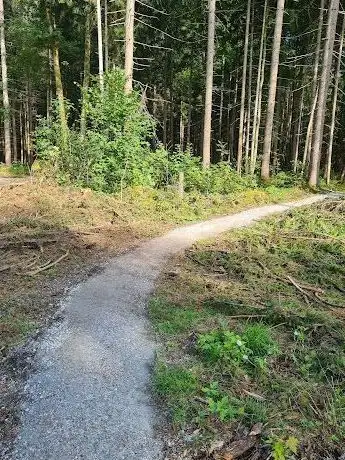 Photo de Singletrack Haus-Aich