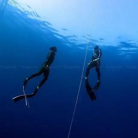 Photo de Life Aquatic Freediving & Yoga School.