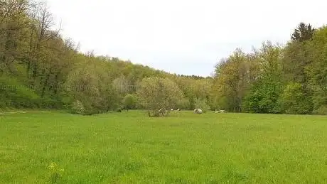 Photo de Naherholungsgebiet Kainachtal