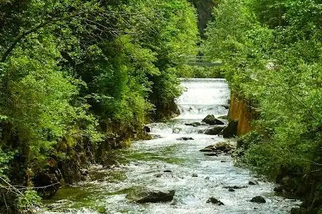 Photo de Wilde Wasser Talbachklamm