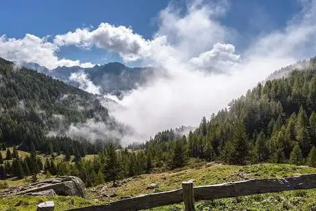Photo de Oasi WWF della Valtrigona