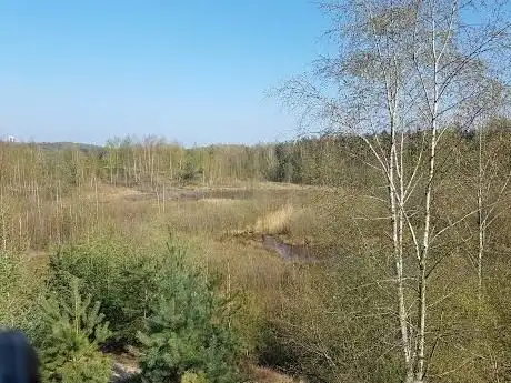 Photo de Hase-Insel und Hase-Altarm