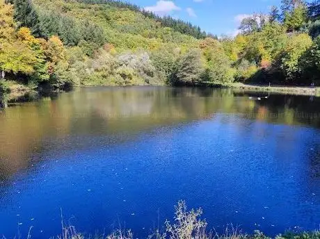 Photo de Stausee Schwanenteich