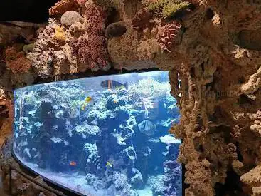 Photo de Skansen Aquarium