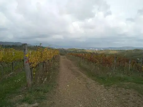 Photo de Steza za motokros
