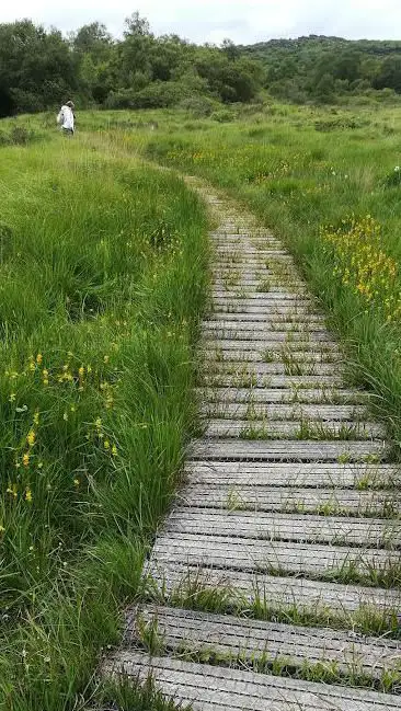 Photo de Tourbières de Mougau
