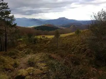 Photo de Bidango Gaña.