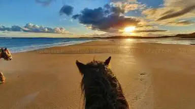 Photo de Island View Riding Stables