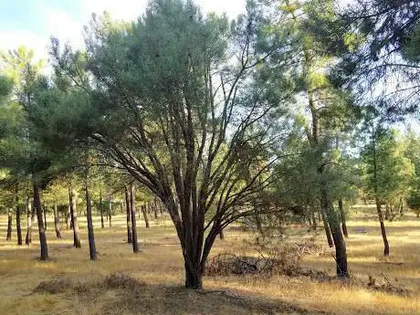 Photo de El Sequero