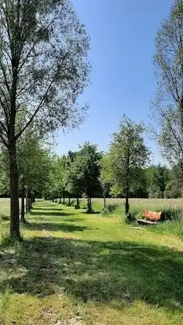 Photo de Allee der Jahresbäume