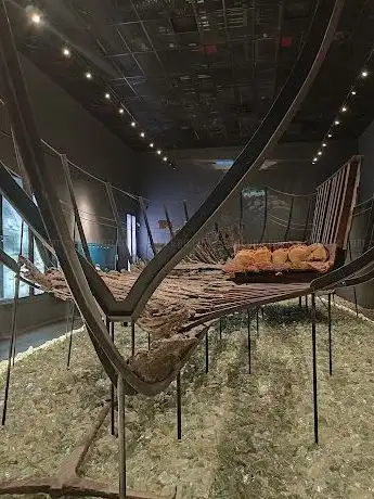 Photo de Serçe Limanı Cam Batığı Sergisi