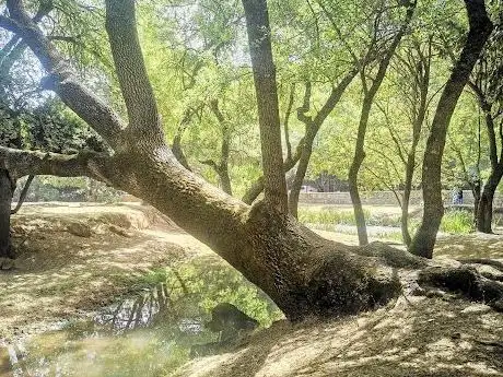 Photo de Ifrane aghbalou