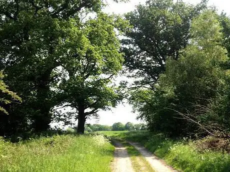 Photo de Sandleford Park