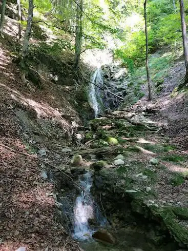 Photo de Cascade aux Biches