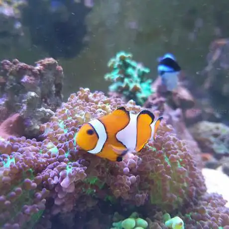 Photo de AquaBelgium
